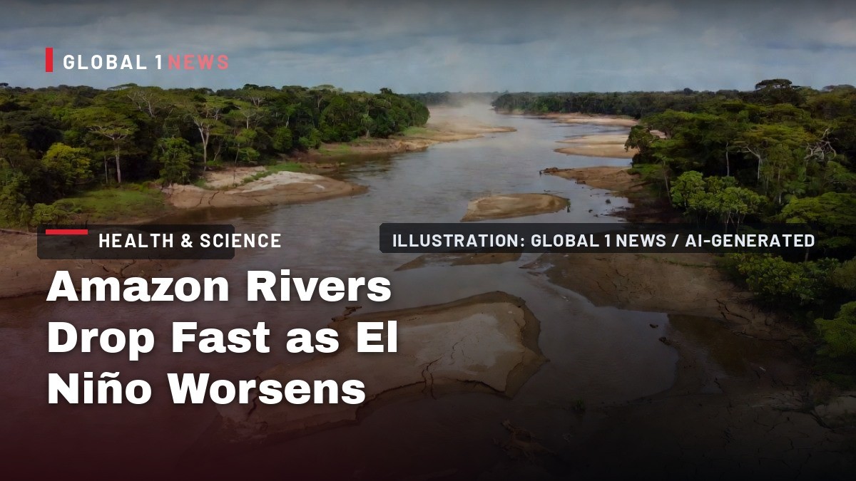 Amazon Rivers Drop Fast as El Niño Worsens