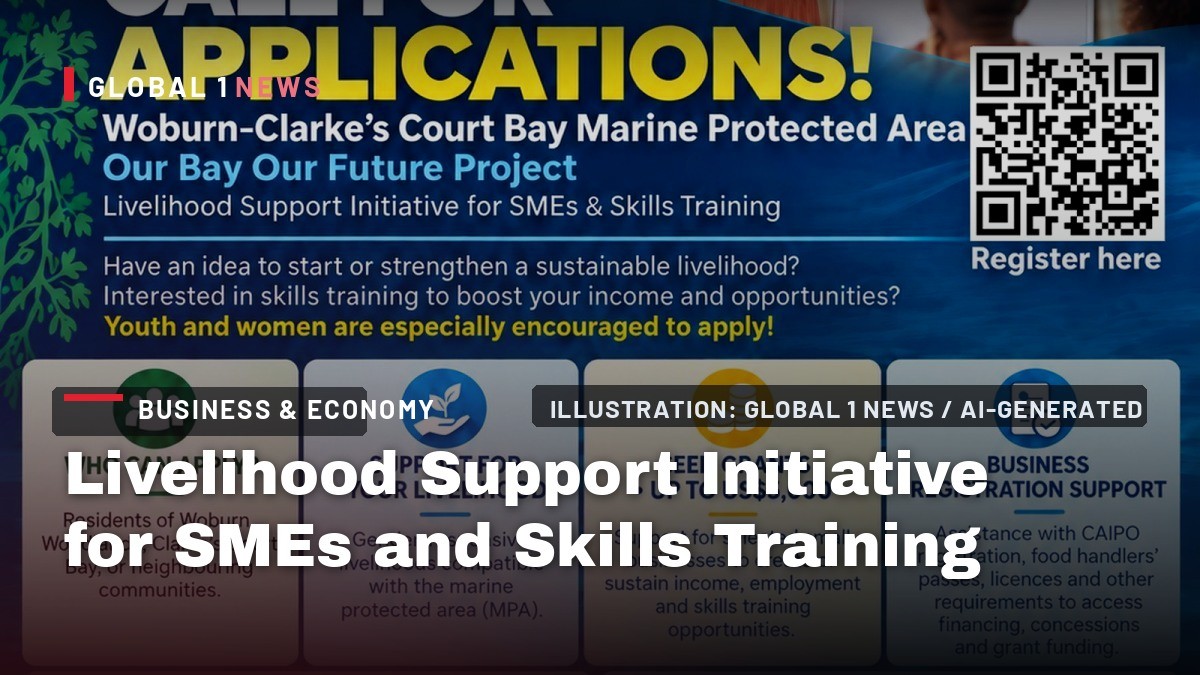 Livelihood Support Initiative for SMEs and Skills Training