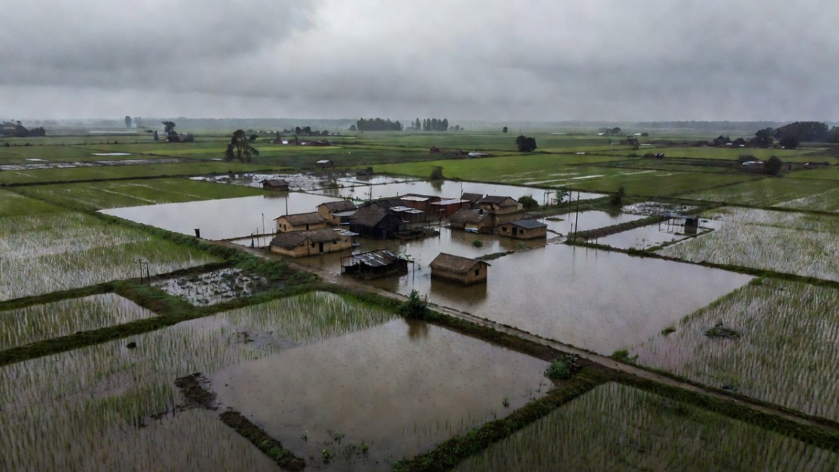 Flooded agricultural fields during the Indian monsoon season (Global 1 News)