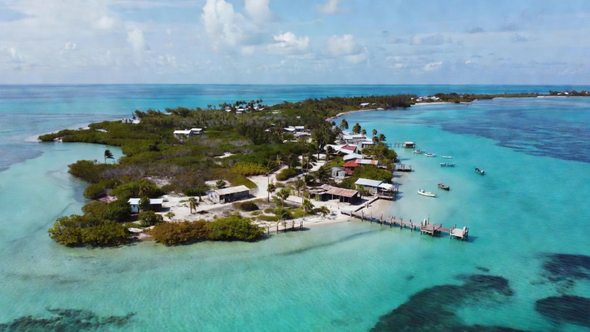 Remote coastline of Andros Island in the Bahamas where the search unfolded