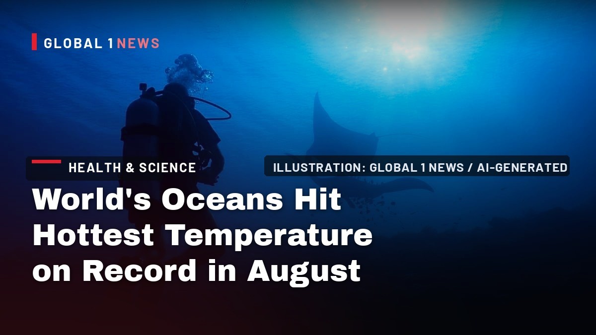 World's Oceans Hit Hottest Temperature on Record in August as El Niño Takes Hold