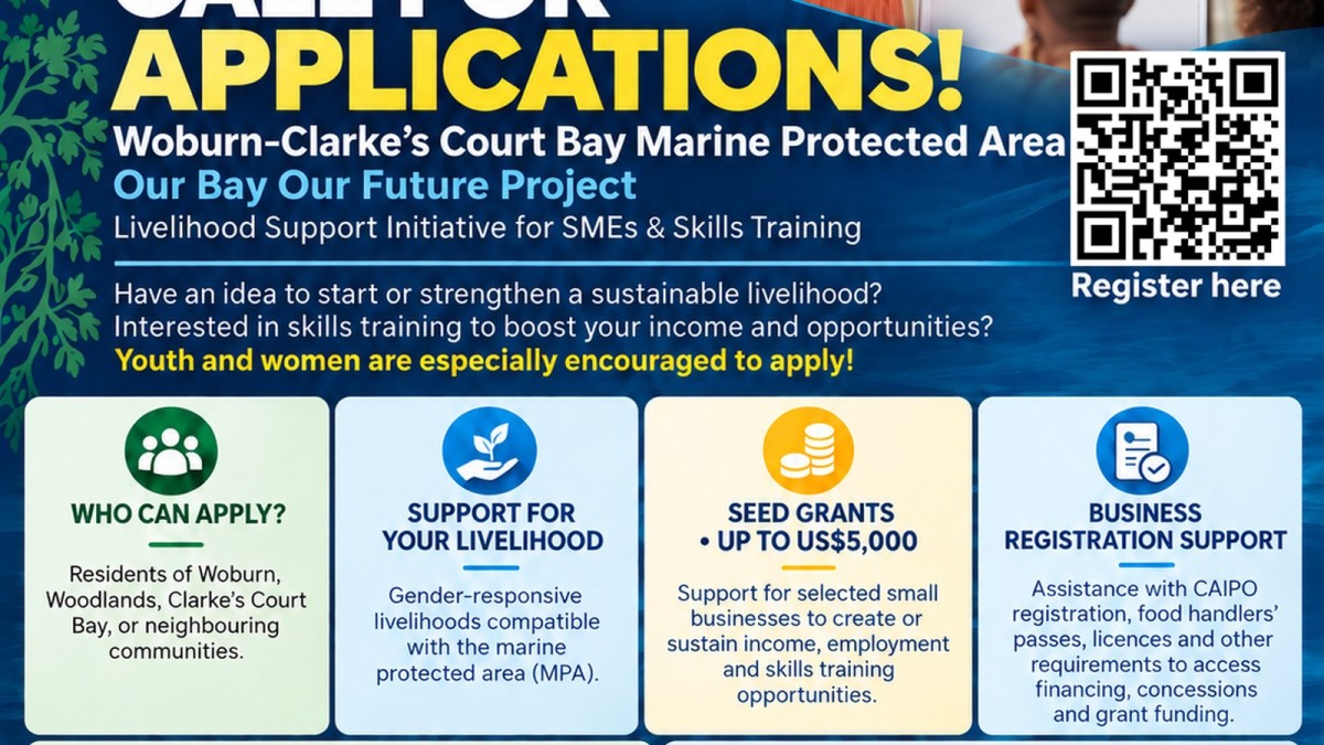 Livelihood Support Initiative for SMEs and Skills Training