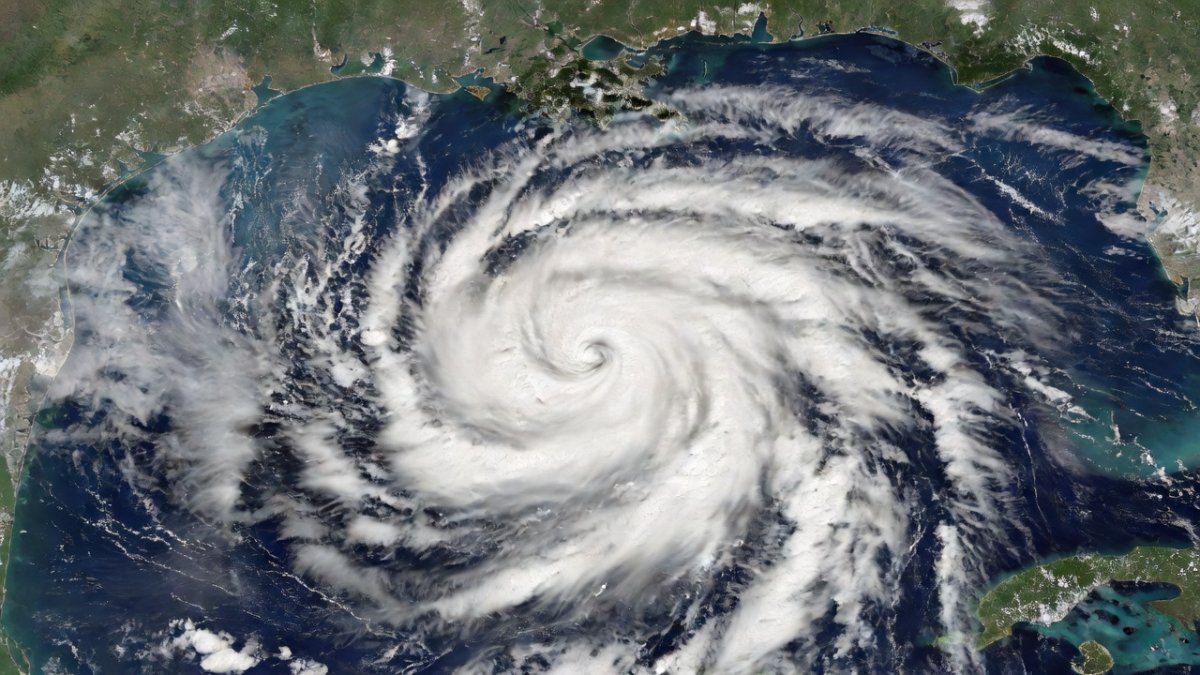 Edouard Targets Gulf Coast: Hurricane Watch Issued