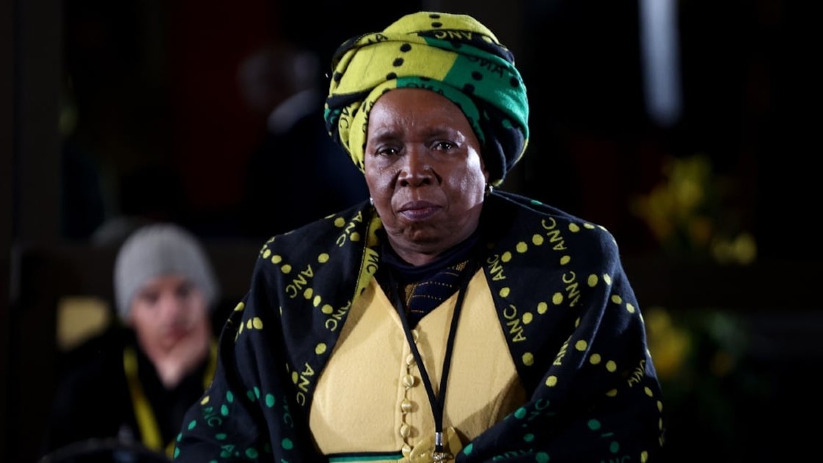 Mbalula vs Dlamini-Zuma: Judgment Reserved in the ANC Vote-Buying Defamation Case