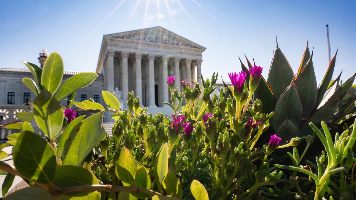 Supreme Court Revives Trump's SAVE Voter Database Weeks Before the Midterms