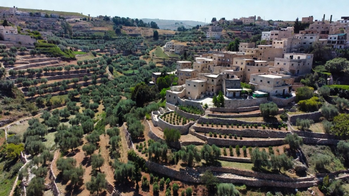 Aerial view of a West Bank village among olive groves and terraced hillsides near Nablus