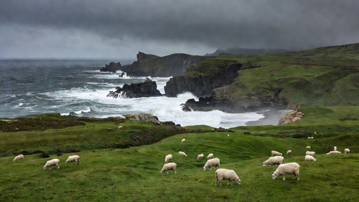 Coastline of the Falkland Islands, a British Overseas Territory claimed by Argentina since 1833