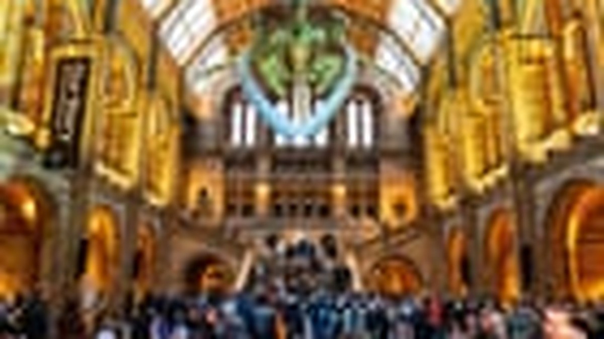 England’s national museums to remain free to overseas visitors