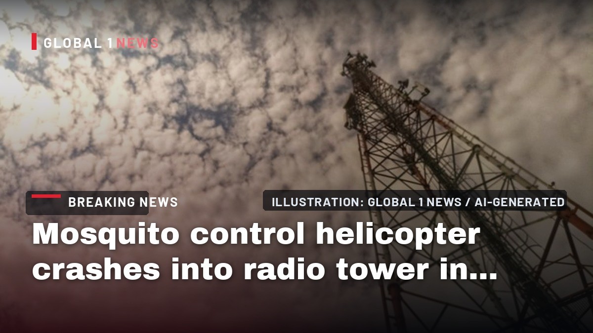 Mosquito control helicopter crashes into radio tower in Florida, killling pilot