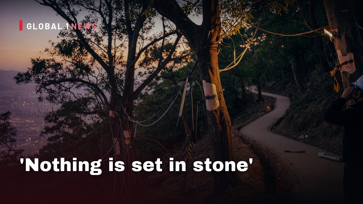 ‘Nothing is set in stone’: Peak lighting project suspended amid tree damage fears