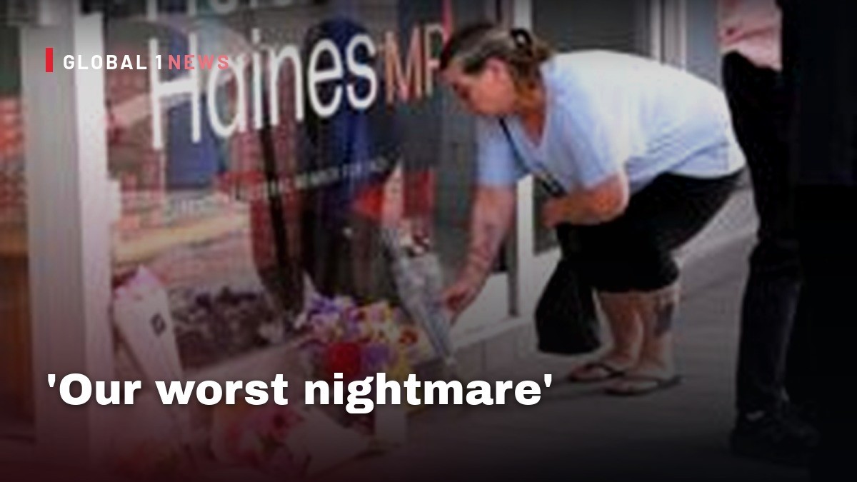 'Our worst nightmare': Threats to Australian politicians were rising before MP hit by car