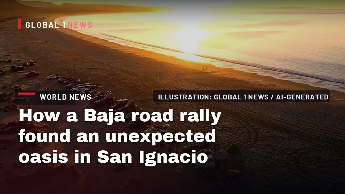 How a Baja road rally found an unexpected oasis in San Ignacio