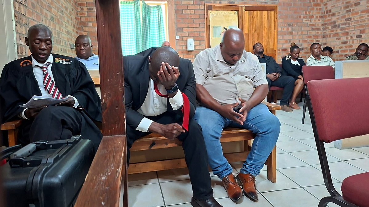 Kruger's Fallen 'Crown Prince': Ex-Ranger and State Vet Convicted of Rhino Poaching