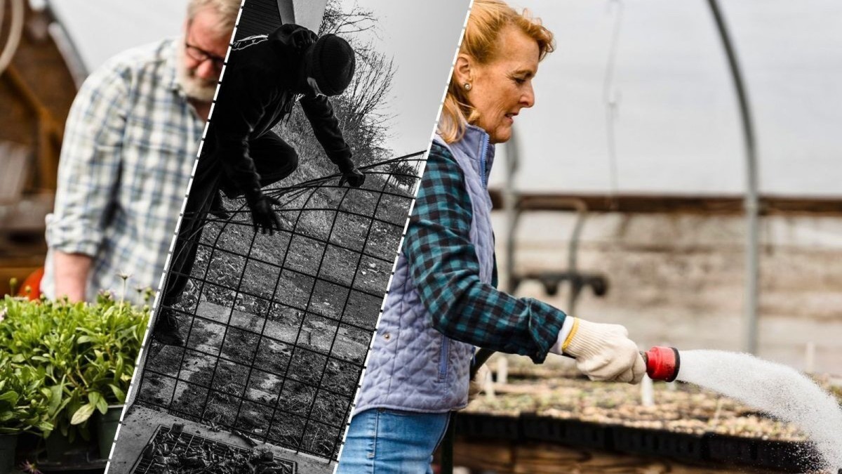 Pensioners leave farming town as their community comes under attack