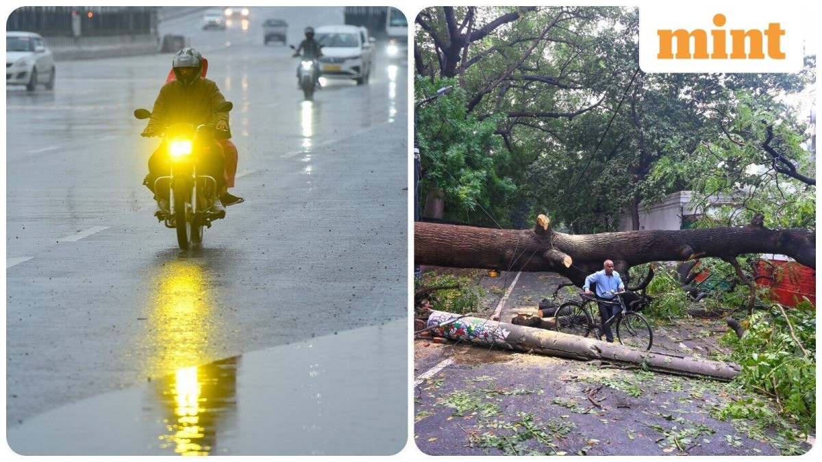 Weather Update, Northeast Monsoon onset: IMD predicts heavy rain in Tamil Nadu, Kerala, Karnataka this week