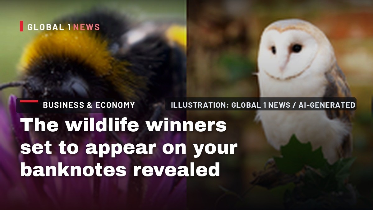 The wildlife winners set to appear on your banknotes revealed
