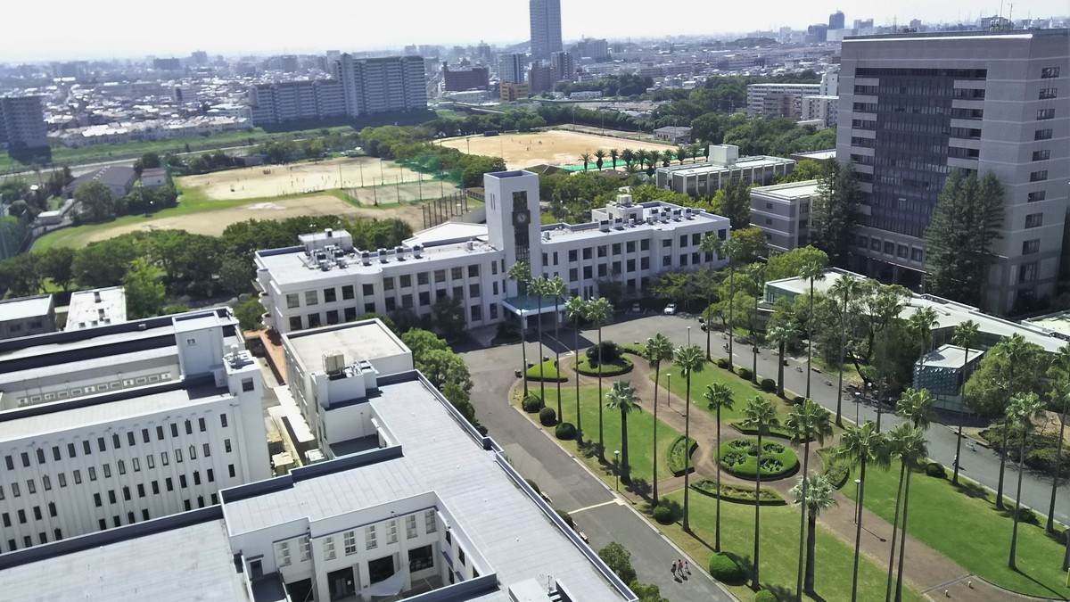 An elevated view of the Osaka Metropolitan University campus in Osaka, Japan, with its mid-rise buildings, paths and sports fields. Photo: L26 via Wikimedia Commons (CC BY-SA 4.0)