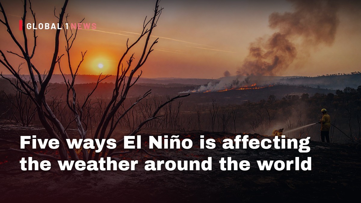 Five ways El Niño is affecting the weather around the world