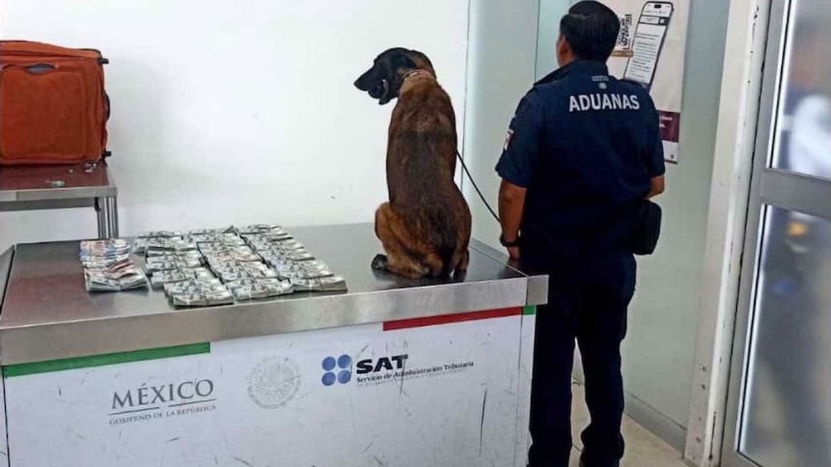 Man arrested at Oaxaca International Airport with more than US $366K in undeclared cash