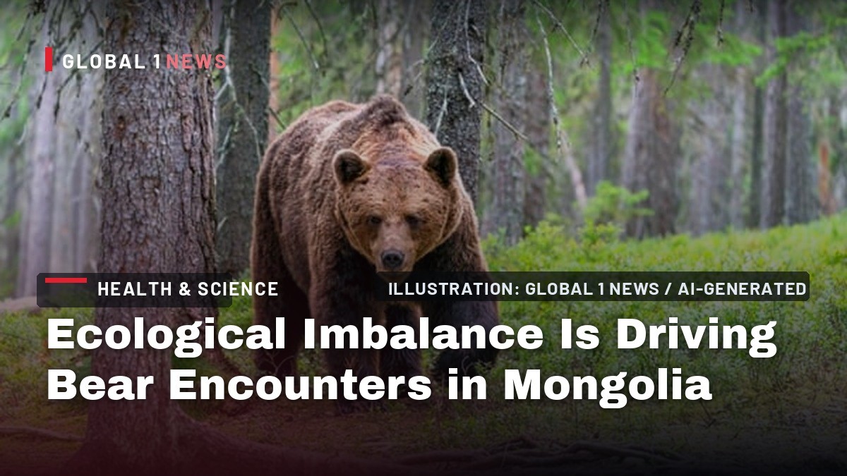 Ecological Imbalance Is Driving Bear Encounters in Mongolia