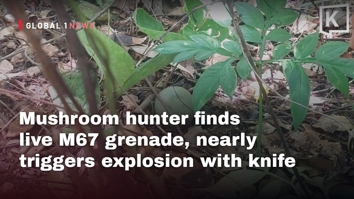 Mushroom hunter finds live M67 grenade, nearly triggers explosion with knife