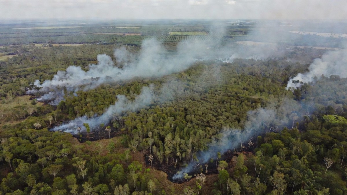 Singapore Firms Face Carbon Credit Uncertainty as Indonesian Forest Fires Spread
