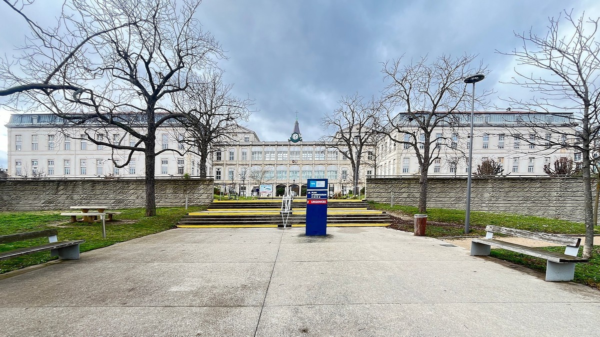 The Croix-Rousse hospital in Lyon. France's first human case of Shamonda virus was treated at the Hospices Civils de Lyon hospital group in the city. Photo: Benoit Prieur via Wikimedia Commons, CC0