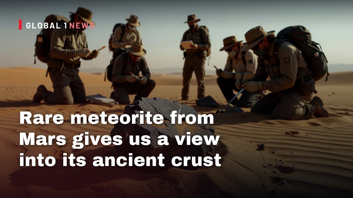 Rare meteorite from Mars gives us a view into its ancient crust