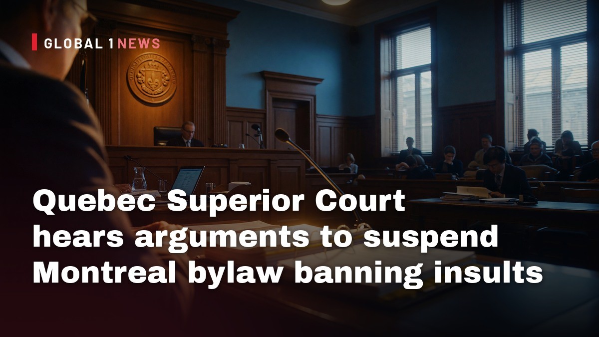 Quebec Superior Court hears arguments to suspend Montreal bylaw banning insults