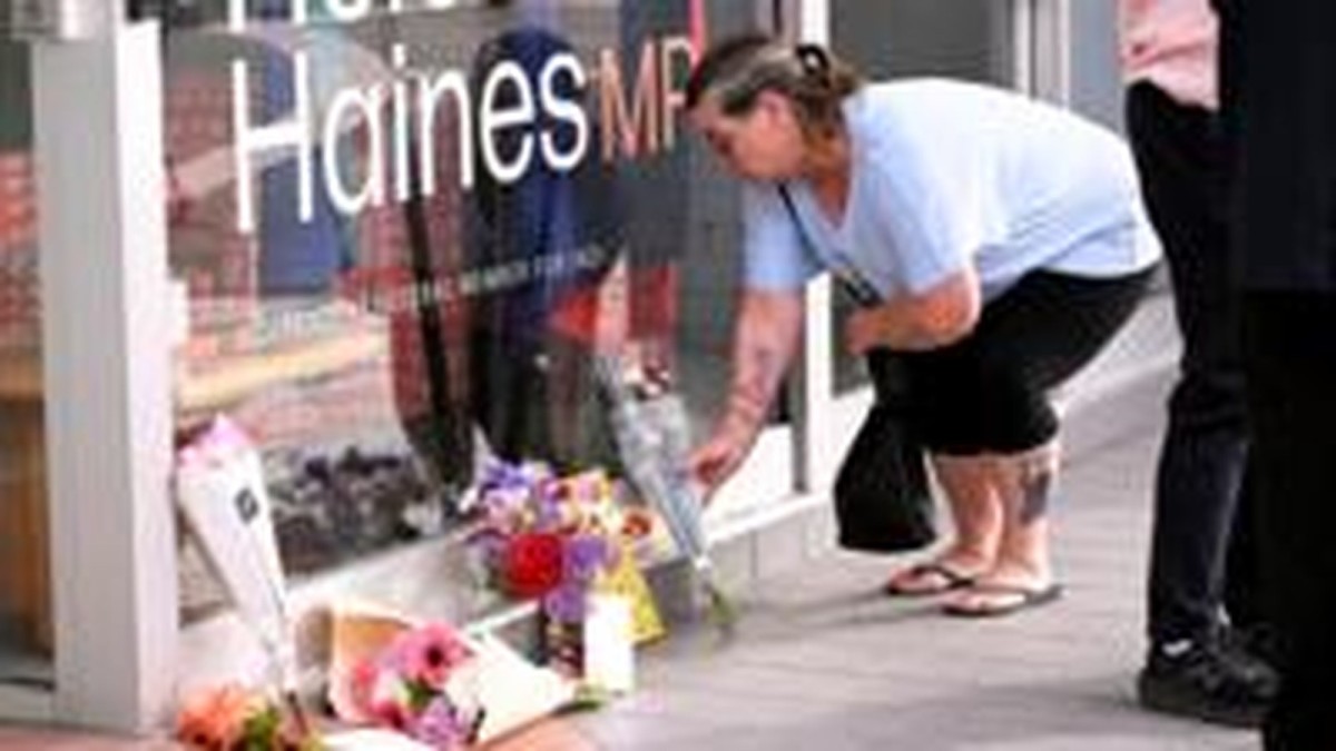 'Our worst nightmare': Threats to Australian politicians were rising before MP hit by car