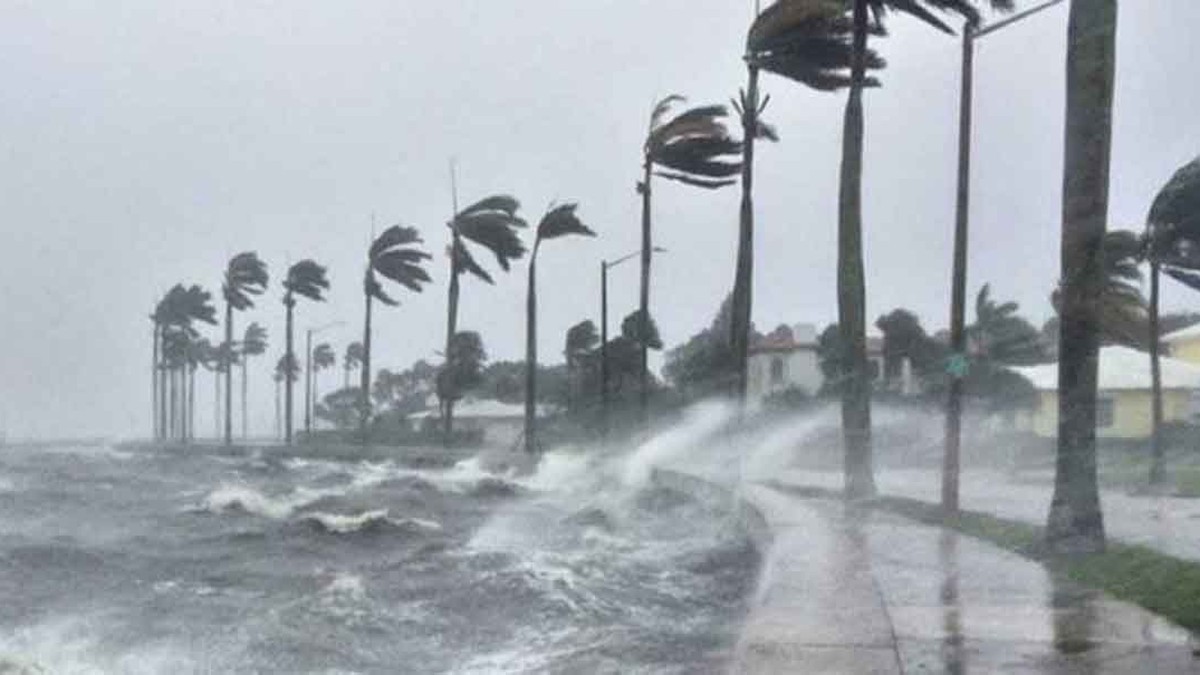High winds bend palm trees and heavy surf breaks over a seawall on Mexico's Pacific coast. Photo: Diario Puntual
