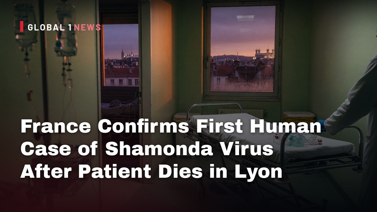 France Confirms First Human Case of Shamonda Virus After Patient Dies in Lyon