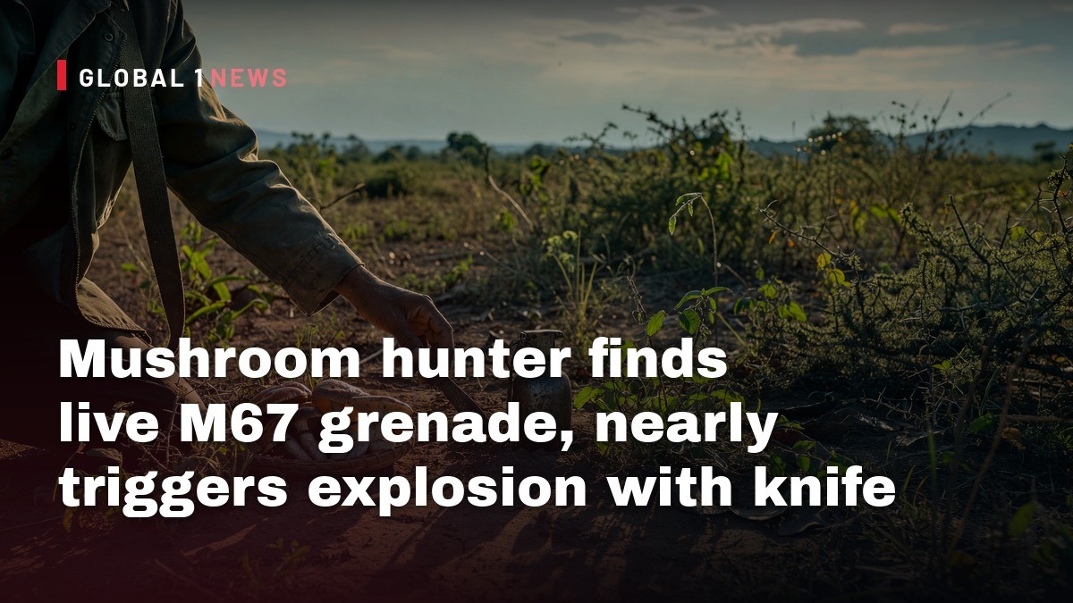 Mushroom hunter finds live M67 grenade, nearly triggers explosion with knife