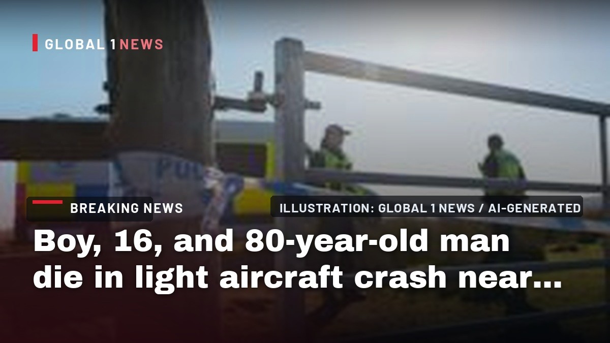 Boy, 16, and 80-year-old man die in light aircraft crash near Loch Lomond