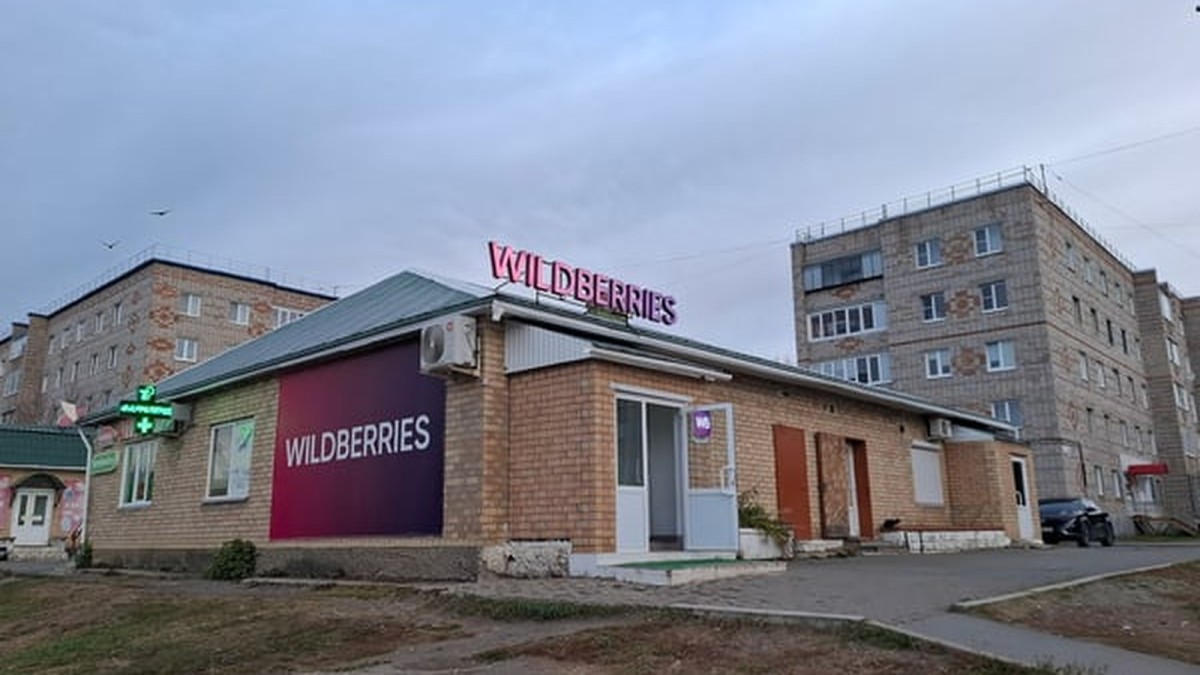 Russia’s Wildberries Finding Fertile Ground in Central Asia