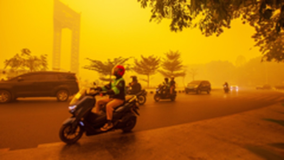 Five ways El Niño is affecting the weather around the world
