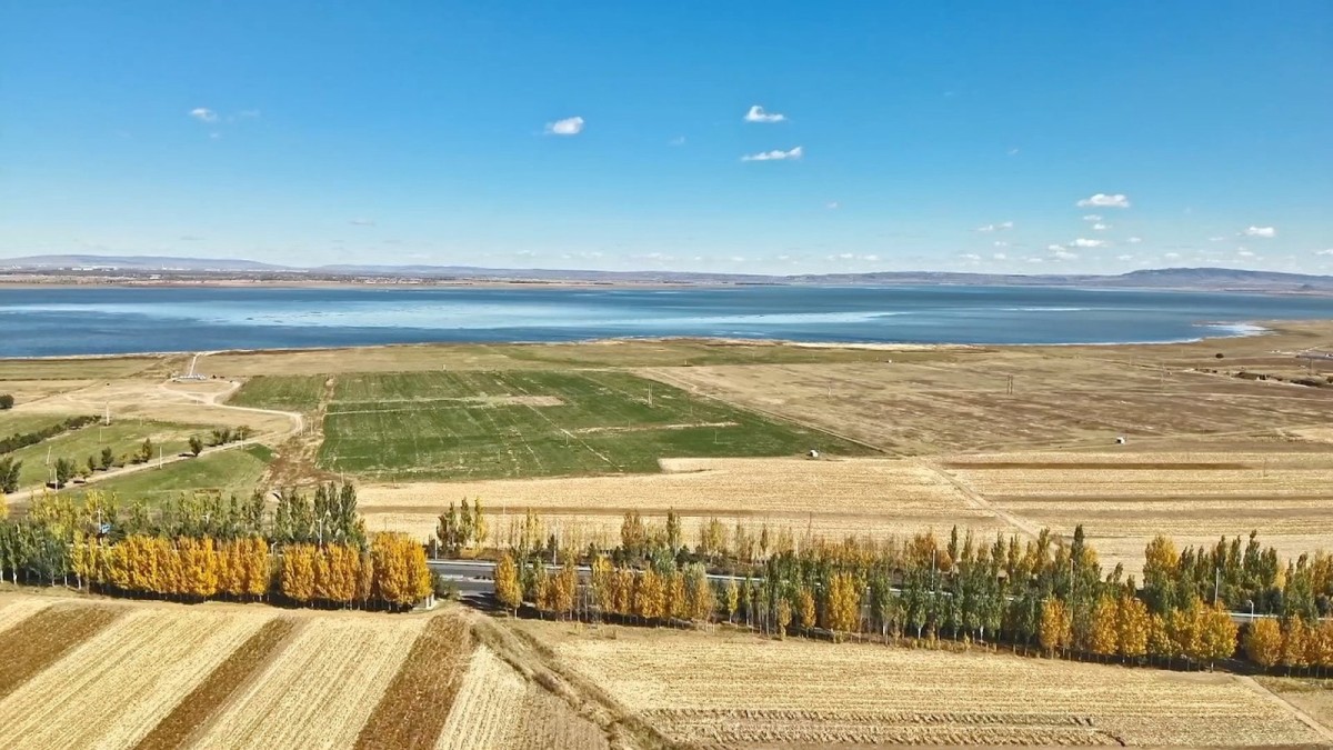 Xi Jinping Inspects Ulanqab Wetland Revival, Signals Green Priorities in Inner Mongolia
