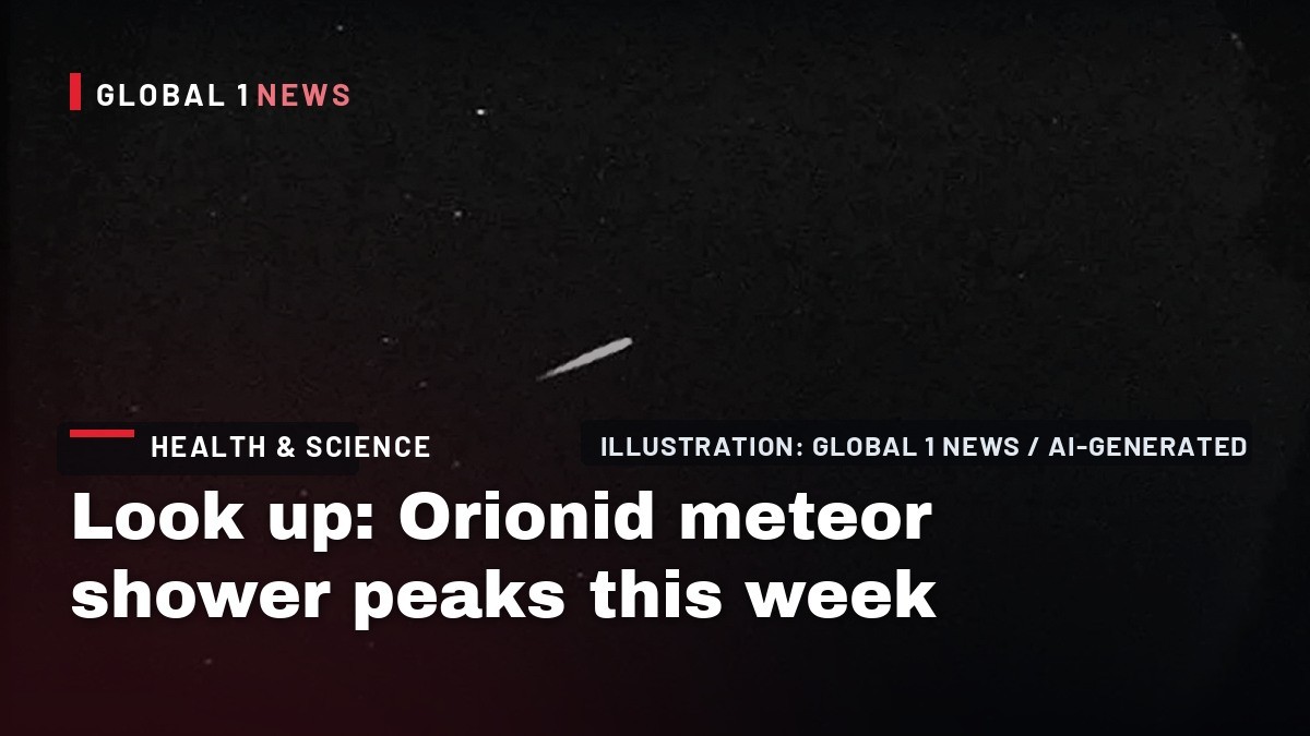Look up: Orionid meteor shower peaks this week